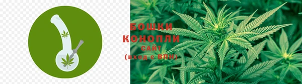 МДМА Белокуриха