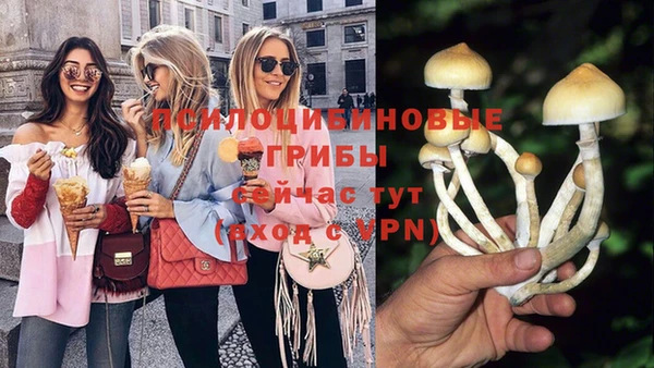 МДМА Белокуриха