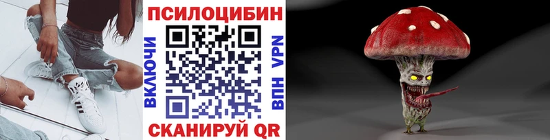 Псилоцибиновые грибы прущие грибы  Купить закладки  Новохопёрск 